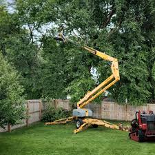 Best Lawn Watering Services  in Red Bud, IL